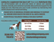 Мультивітамінний комплекс Multivitamin Natural Dog Company 90шт в банці